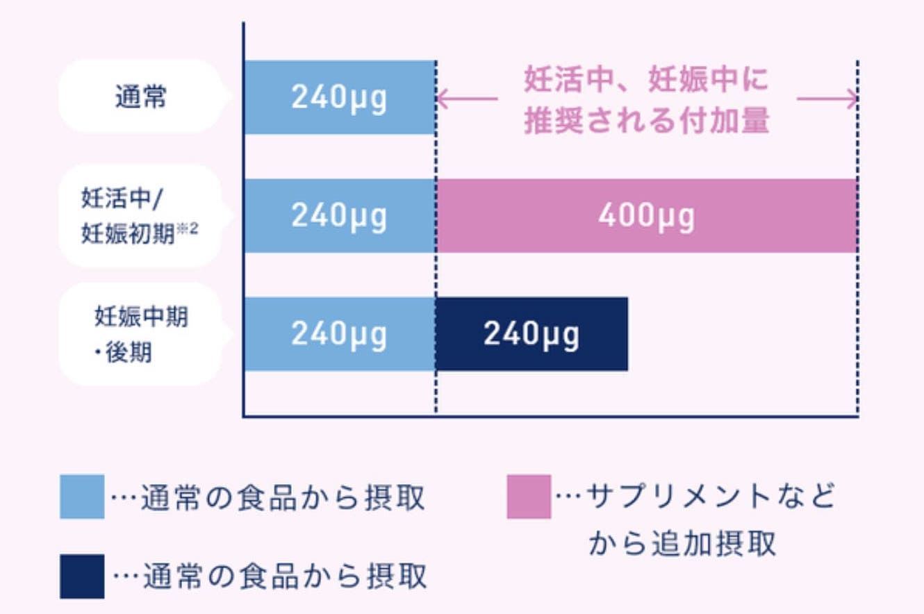 葉酸摂取推奨量
