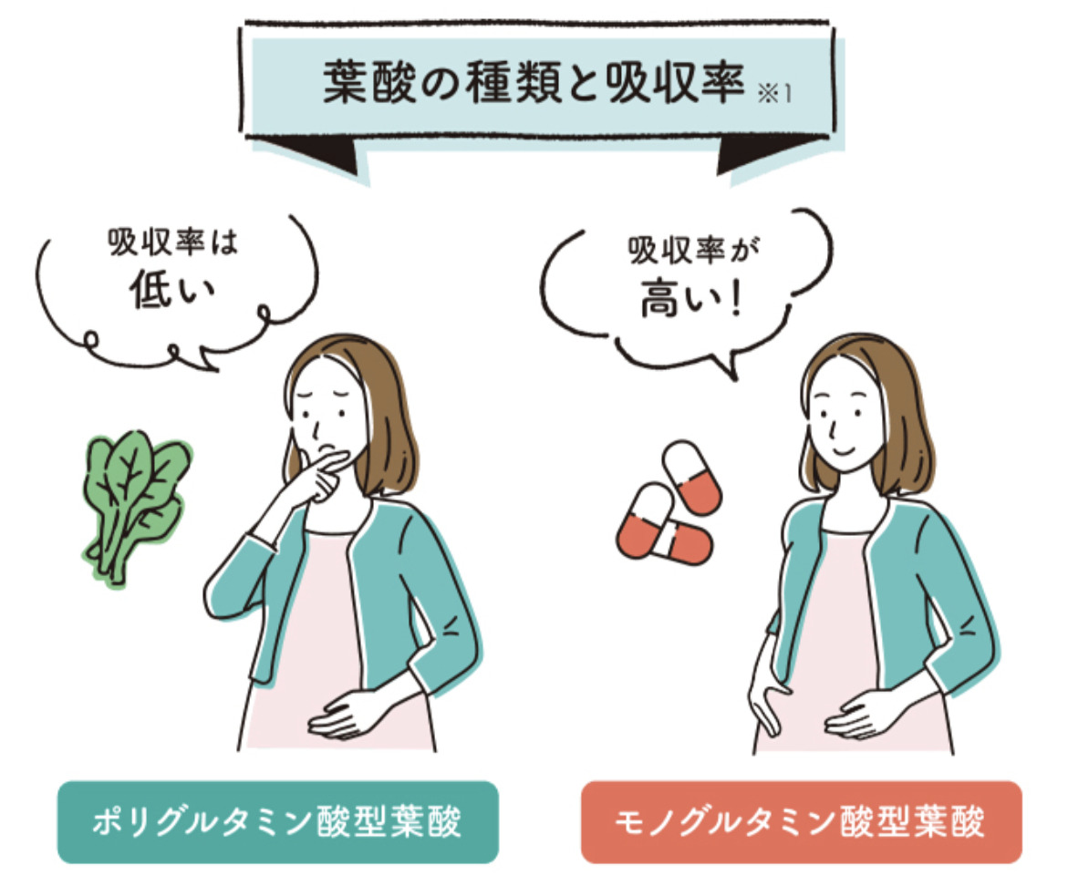 葉酸の種類と吸収率