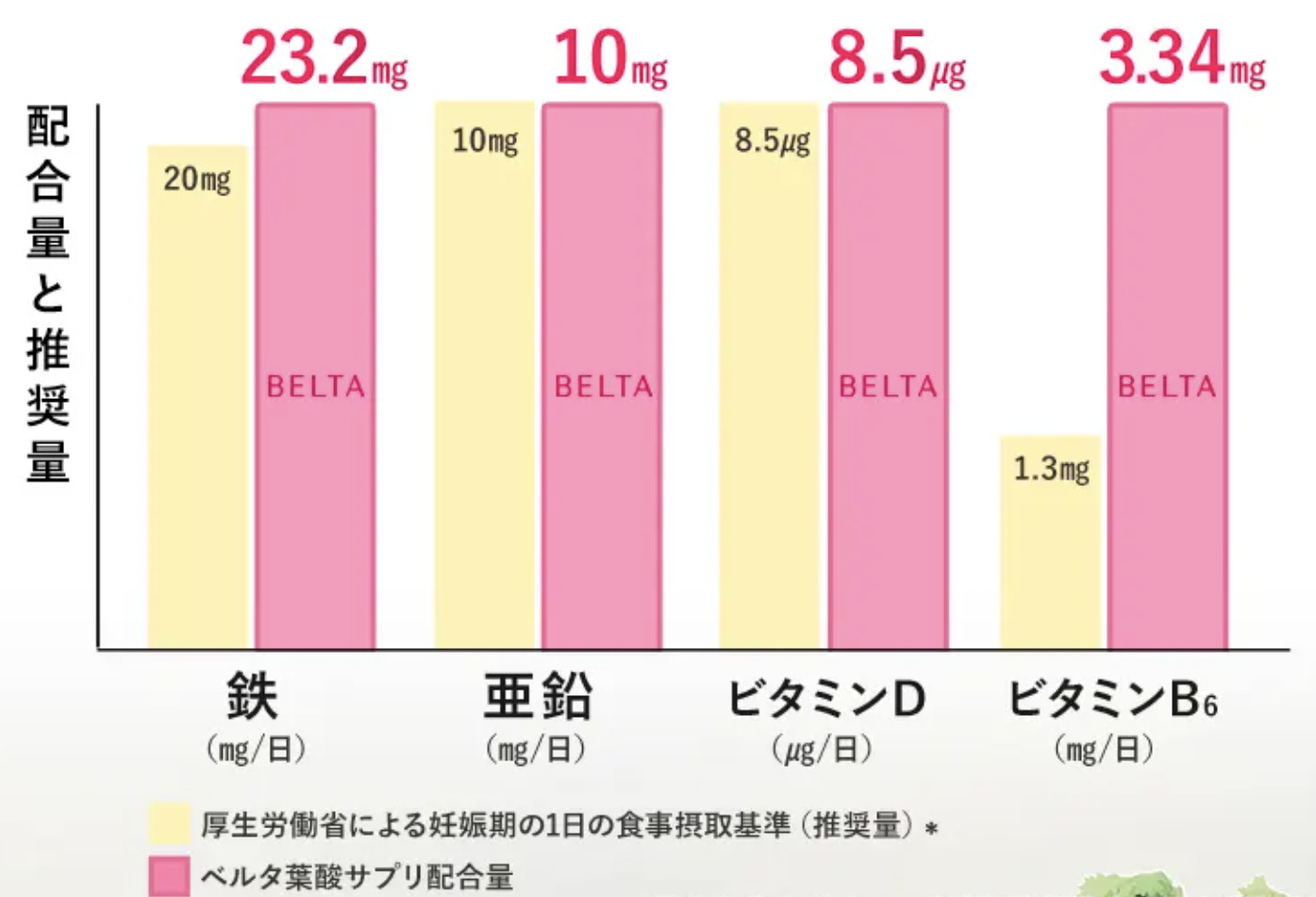 葉酸以外の栄養素について